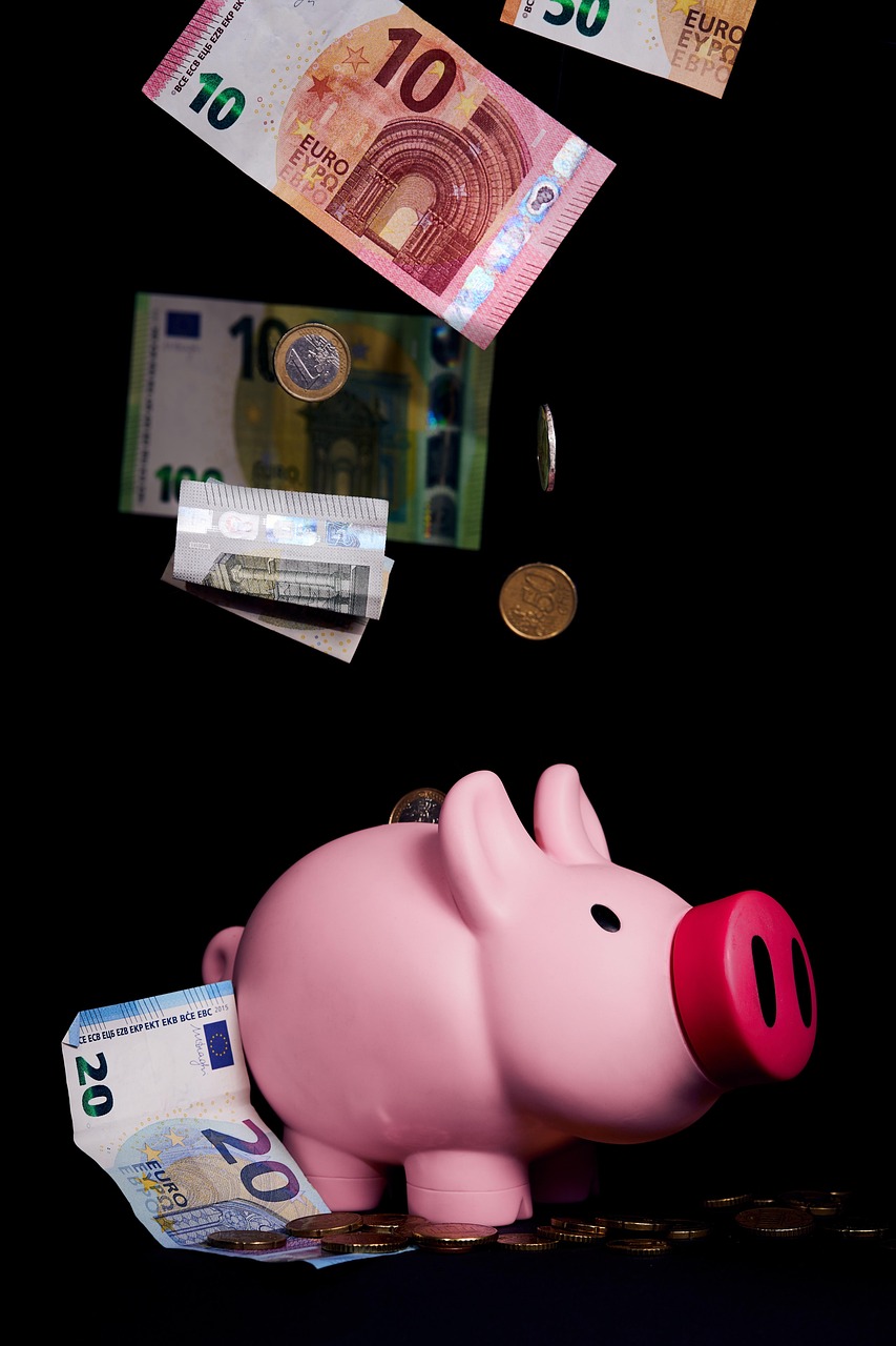 piggy bank, save up, invest, money, finance, euro, economical, coins, piggy, taxes, banknotes, retirement provision, interest charges, cash injection, bank, wealth, cash, thrift, piggy bank, piggy bank, piggy bank, piggy bank, piggy bank, finance, wealth