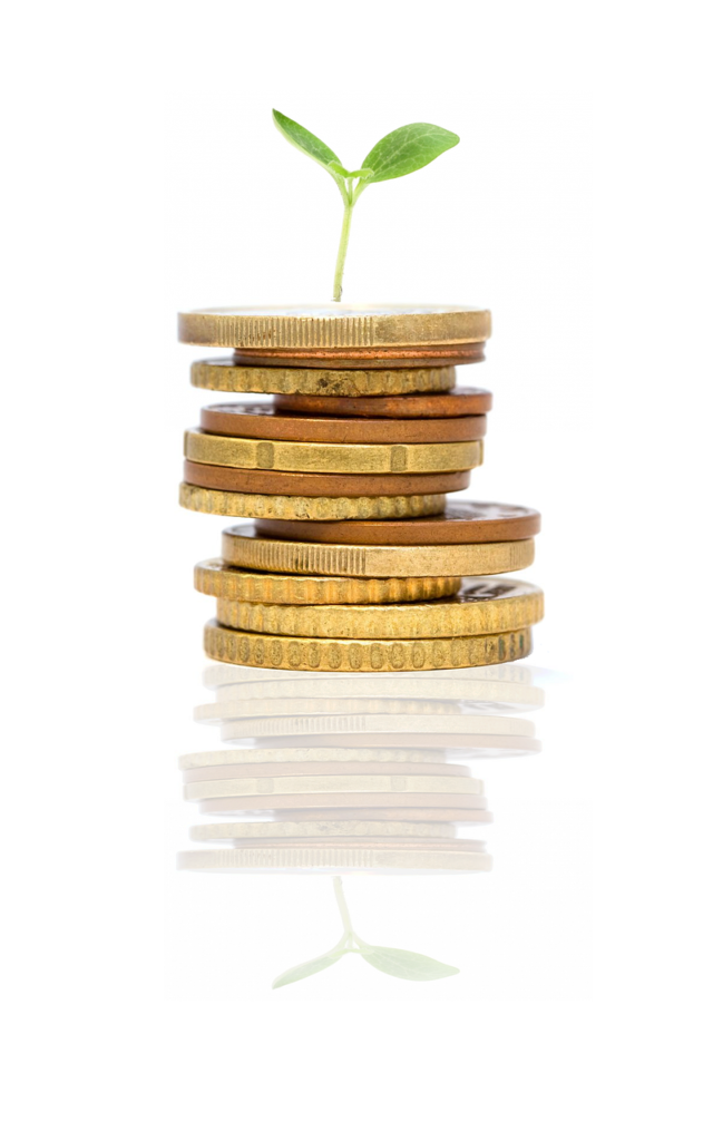 Tesouro Renda+: Como Funciona o Investimento para a Aposentadoria