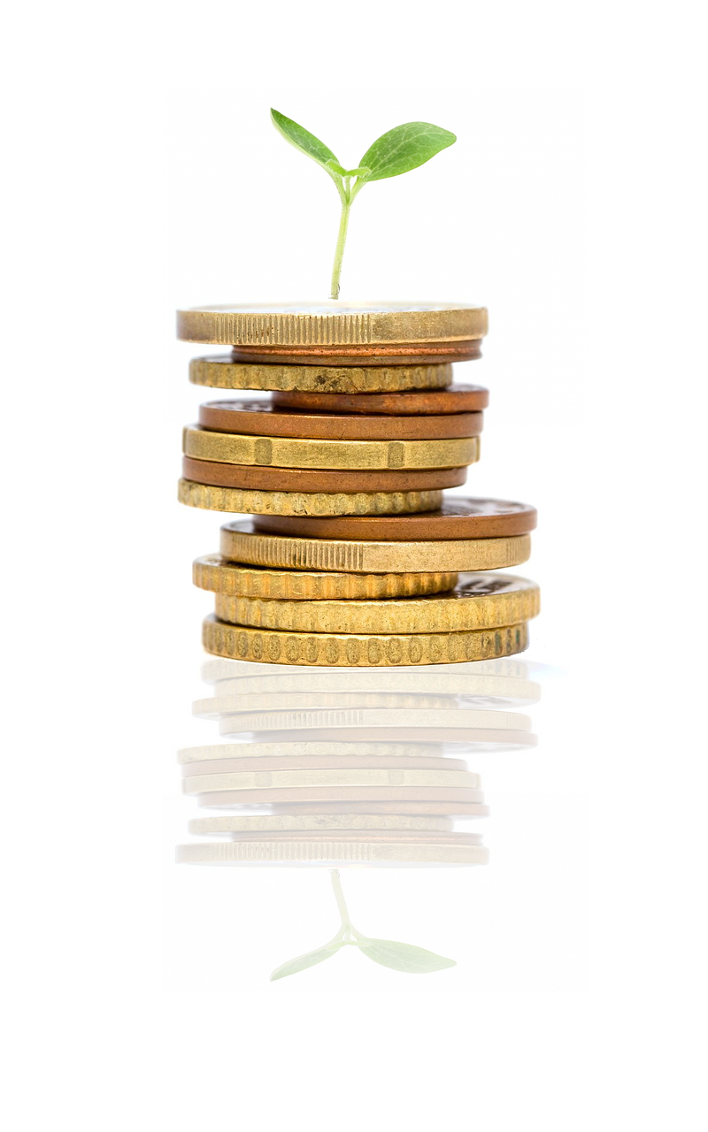 Tesouro Renda+: Como Funciona o Investimento para a Aposentadoria